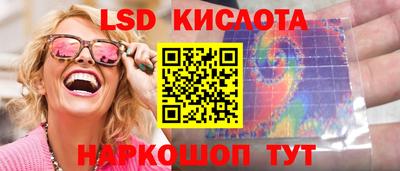 крисы Дубна