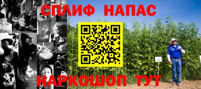 тгк Донской